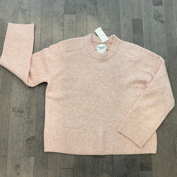 NWT Abercrombie Madeline Crew Sweater - Picture 1 of 10